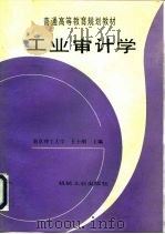 工业审计学（1994 PDF版）