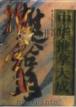 中华推拿大成（1995 PDF版）