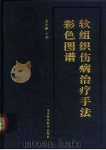 软组织伤病治疗手法彩色图谱（1994 PDF版）