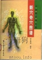 新穴奇穴图谱 1999 PDF电子版封面 7502332596 王富春等编著