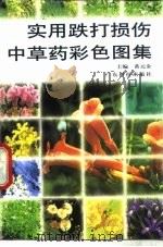 实用跌打损伤中草药彩色图集（1999 PDF版）