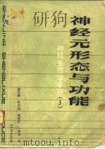 神经生理学手册  3  神经元形态与功能（1985 PDF版）