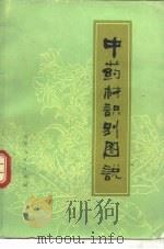 中药材识别图说（1978 PDF版）