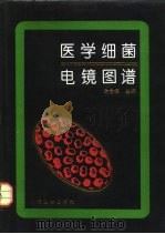 医学细菌电镜图谱 1994 PDF电子版封面 7117020768 谢念铭主编