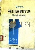 枝川注射疗法  体壁内脏相关论的临床应用（1989 PDF版）