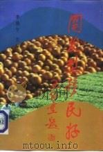 开发型移民好  第1集（1991 PDF版）