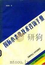 国际小水电技术咨询手册（1989 PDF版）
