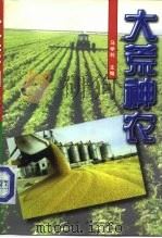 大荒神农（1997 PDF版）