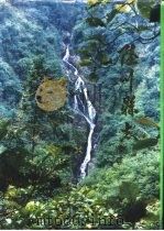陆川县志（1993 PDF版）