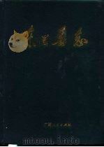 东兰县志（1994 PDF版）