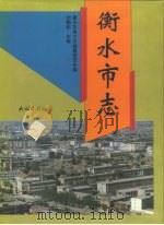 衡水市志（1996 PDF版）