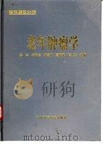 老年肿瘤学 1999 PDF电子版封面 7504625582 李杰等主编