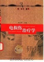 电损伤治疗学（1999 PDF版）