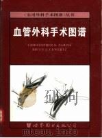 血管外科手术图谱（1996 PDF版）