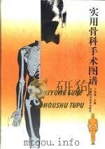 实用骨科手术图谱 上 1996 PDF电子版封面 7533709500 于仲嘉主编