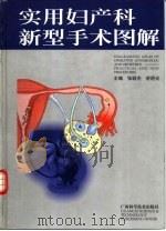 实用妇产科新型手术图解 1999 PDF电子版封面 7806196668 张颖杰,舒明炎主编