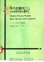 现代火器伤基础理论与战伤救治（ PDF版）