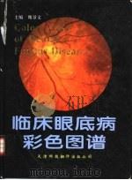 临床眼底病彩色图谱（1995 PDF版）