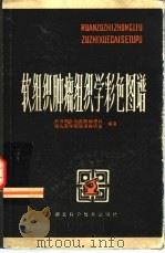 软组织肿瘤组织学彩色图谱（1982 PDF版）