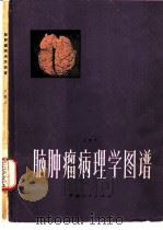脑肿瘤病理学图谱（1982 PDF版）