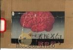 脑电图入门（1988 PDF版）