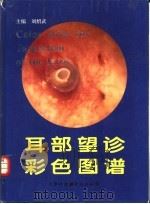 耳部望诊彩色图谱（1995 PDF版）