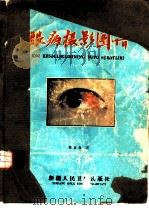 眼病摄影图谱  汉维对照（1979 PDF版）