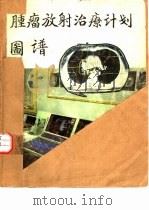 肿瘤放射治疗计划图谱（ PDF版）