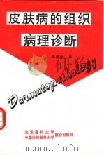 皮肤病的组织病理诊断 A.B.阿克曼结构型式分析的诊断方法（1991 PDF版）