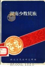 湖南少数民族（ PDF版）