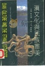 滇文化与民族审美（1992 PDF版）