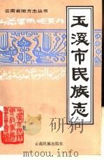 玉溪市民族志（1990 PDF版）