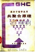共聚合原理（1984 PDF版）