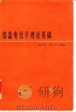 熔盐电化学理论基础 1965 PDF电子版封面 15165·4003(冶金622) (苏)捷里马尔斯基,(苏)马尔科夫著;沈时英,胡方华编译