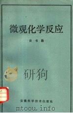 微观化学反应（1985 PDF版）