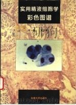 实用精液细胞学彩色图谱 1994 PDF电子版封面 7810239651 黄宇烽主编;杨关虎等编著