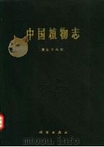 中国植物志 第79卷 被子植物门 双子叶植物纲 菊科 9 帚菊木族 1996 PDF电子版封面 7030049144 中国科学院中国植物志编辑委员会编;程用谦编著