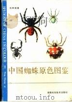 中国蜘蛛原色图鉴（1990 PDF版）