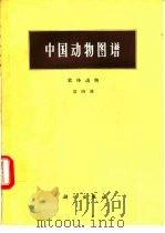 中国动物图谱  软体动物  第4册（1985 PDF版）