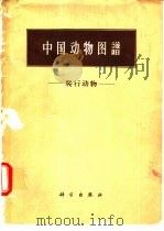 中国动物图谱  爬行动物（1962 PDF版）