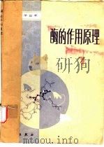 酶的作用原理（1983 PDF版）