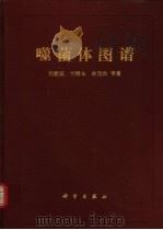 噬菌体图谱（1991 PDF版）