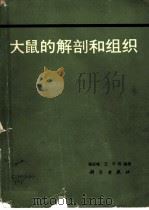 大鼠的解剖和组织（1985 PDF版）