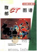 腹部CT图谱（1994 PDF版）