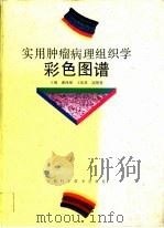 实用肿瘤病理组织学彩色图谱（1993 PDF版）
