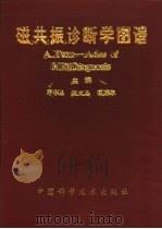 磁共振诊断学图谱（1991 PDF版）