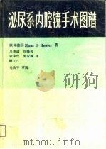 泌尿系内腔镜手术图谱（1989 PDF版）