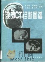 腹部CT诊断图谱（1999 PDF版）