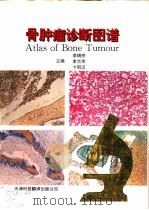 骨肿瘤诊断图谱（1993 PDF版）