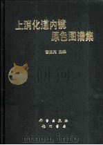 上消化道内镜原色图谱集（1995 PDF版）